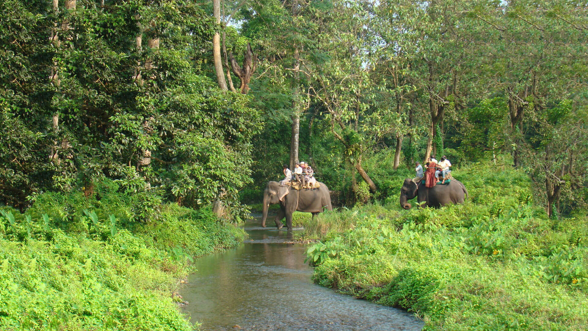 chilapata forest tourist